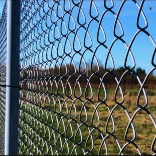 Сетка Рабица 50х50 ⌀1,8 (без покрытия)//1,7м