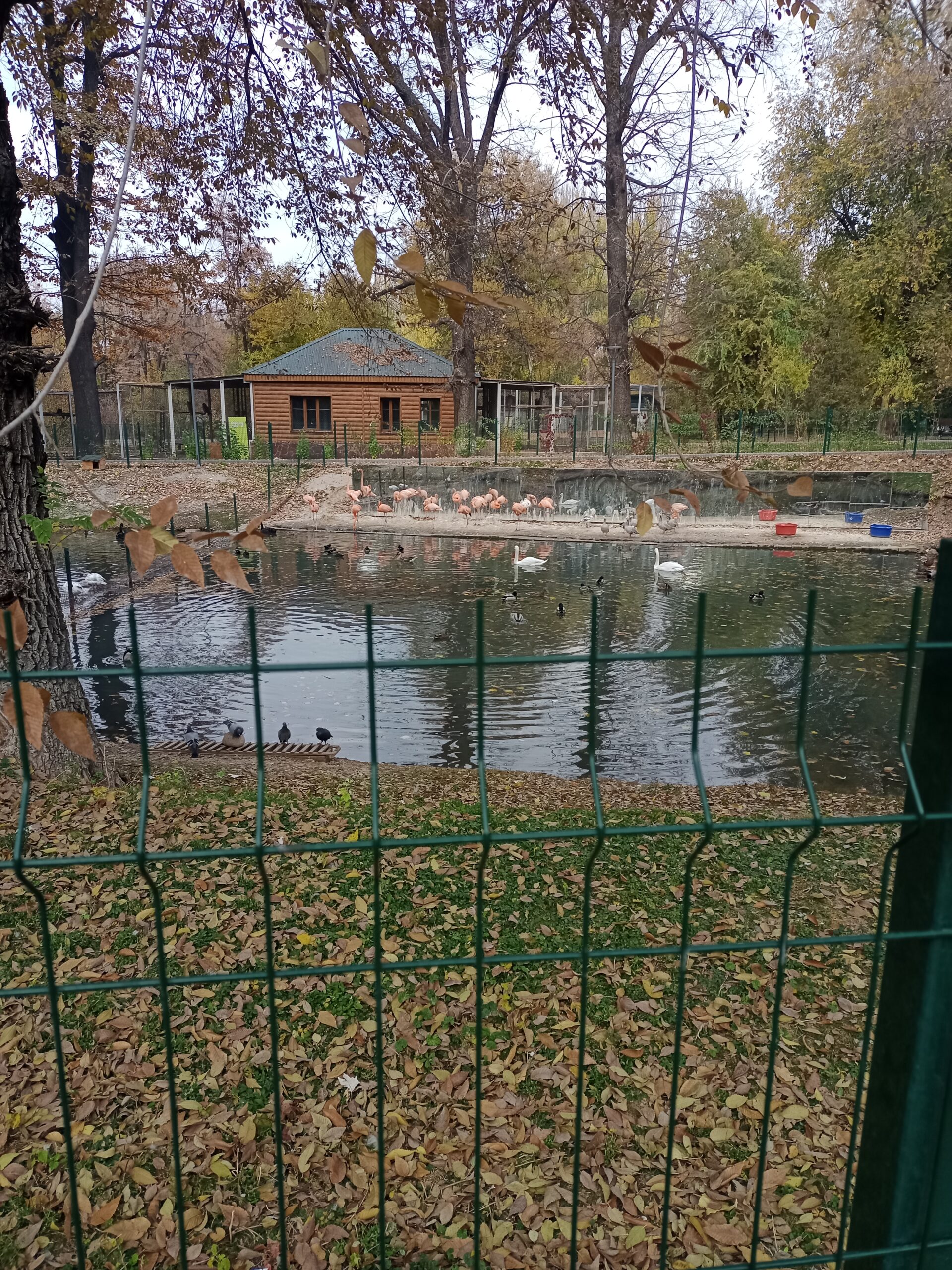 3D сетка